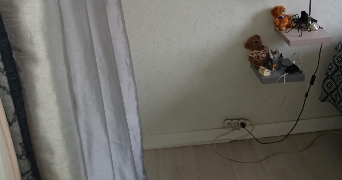 leila cat sitter à ARGENTEUIL 95100_7