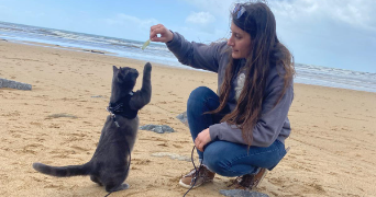 sarah pet sitter à LORIENT 56100_1