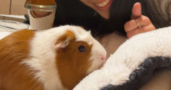 jennah pet sitter à VANDOEUVRE LES NANCY 54500_5