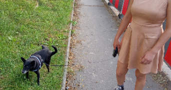 aurelia pet sitter à TOULOUSE 31000_6