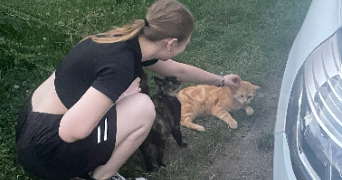 clara pet sitter à NANCY 54000_2