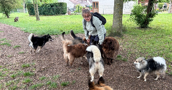 anaïs dog sitter à MORMANT 77720_6