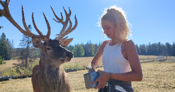 charlène pet sitter à NANTES 44000_0