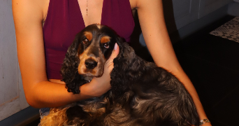 clotilde pet sitter à calais 62100_4