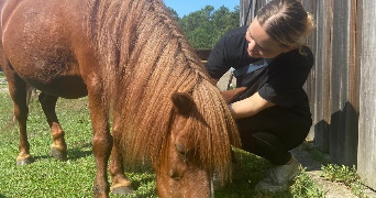 florine pet sitter à BORDEAUX 33000_1