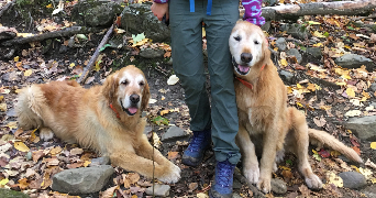 alex pet sitter à LILLE 59000_2