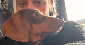 amandine pet sitter à LEVALLOIS PERRET 92300_7