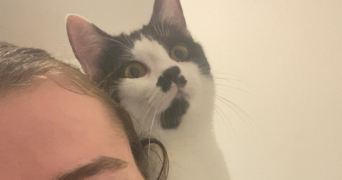 noëmie pet sitter à LE LOROUX BOTTEREAU 44430_2
