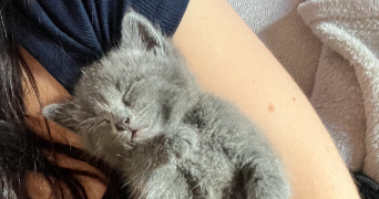 lola pet sitter à Montpellier 34090_3