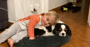 jone pet sitter à ANGLET 64600_6