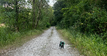 johanna pet sitter à St Egreve 38120_4