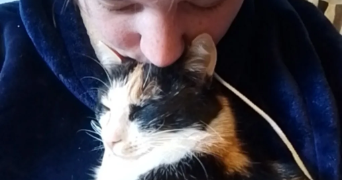 sarah pet sitter à LYON 08 69008_0