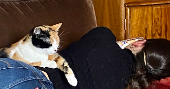 alma pet sitter à PARIS 17 75017_4