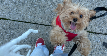 marie pet sitter à ANTIBES 06600_6