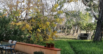 claire pet sitter à STE MARIE LA MER 66470_1