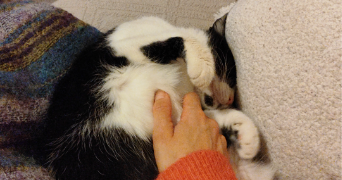 aude pet sitter à PARIS 01 75001_1