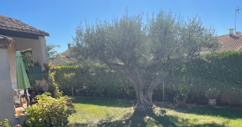 vivien pet sitter à LANSARGUES 34130_1