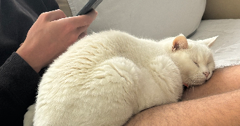 justine pet sitter à NICE 06000_6