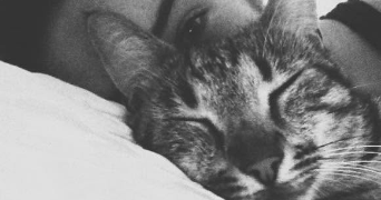 laetitia pet sitter à EAUBONNE 95600_1