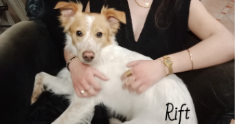 valérie pet sitter à Le Thor 84250_54
