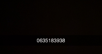 clarisse pet sitter à MONTPELLIER 34090_1