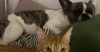 juana pet sitter à CHAMONIX MONT BLANC 74400_2