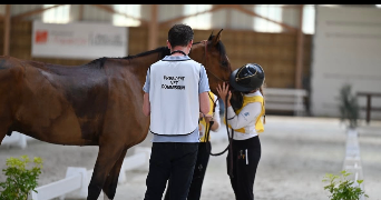 marianne pet sitter à LANDIVISIAU 29400_0