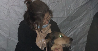 jeanne pet sitter à Montpellier 34070_1