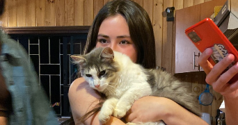 li mei cat sitter à PARIS 13 75013_2