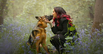 jessica pet sitter à FRANCONVILLE 95130_1