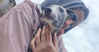 eden pet sitter à OUDON 44521_2