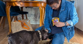 luciana pet sitter à PARIS 15 75015_7