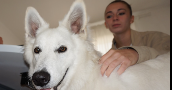 lou-ann pet sitter à PARIS 14 75014_3