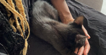 laura pet sitter à ELANCOURT 78990_3