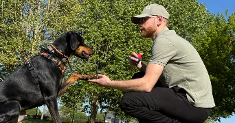 brandon pet sitter à BREBIERES 62117