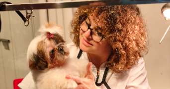 cirlene pet sitter à LE PECQ 78230_2