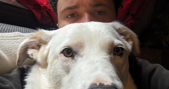 isaac pet sitter à CESSON SEVIGNE 35510_0