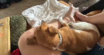 valérie pet sitter à DIEMOZ 38790_1