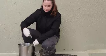 clémence pet sitter à BEAUREVOIR 02110