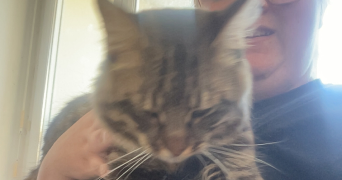 lea pet sitter à LE MEE SUR SEINE 77350_1