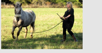 charlotte pet sitter à Noisy le grand 93160_8