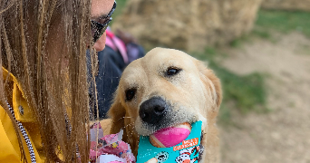 charlotte pet sitter à METZ 57000_0