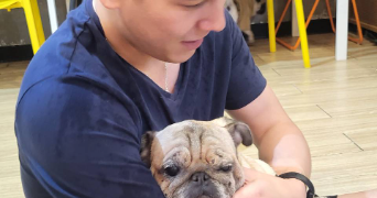 jonathan pet sitter à SARTROUVILLE 78500_2