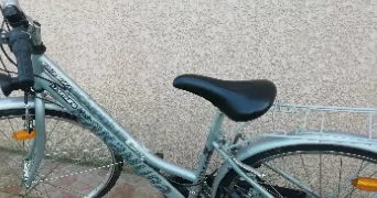 sylvie pet sitter à ST ALBAN 31140