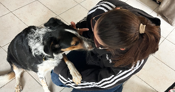 emma pet sitter à TOULOUSE 31000_2