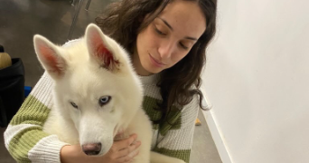 anaël pet sitter à ARACHES LA FRASSE 74300_2
