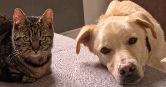 clara pet sitter à LE MANS 72000_6