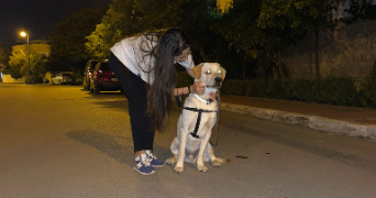 khawla dog sitter à PARIS 11 75011_8