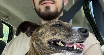 jonathan pet sitter à BORDEAUX 33200