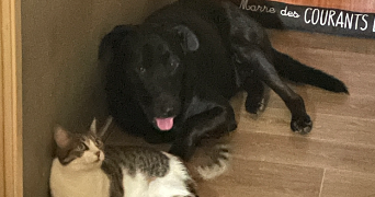 alison pet sitter à Morteau 25500_7